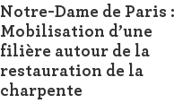 Notre-Dame de Paris : Mobilisation d'une filière autour de la restauration de la charpente