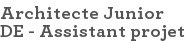 Architecte Junior DE - Assistant projet