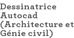 Dessinatrice Autocad (Architecture et Génie civil)